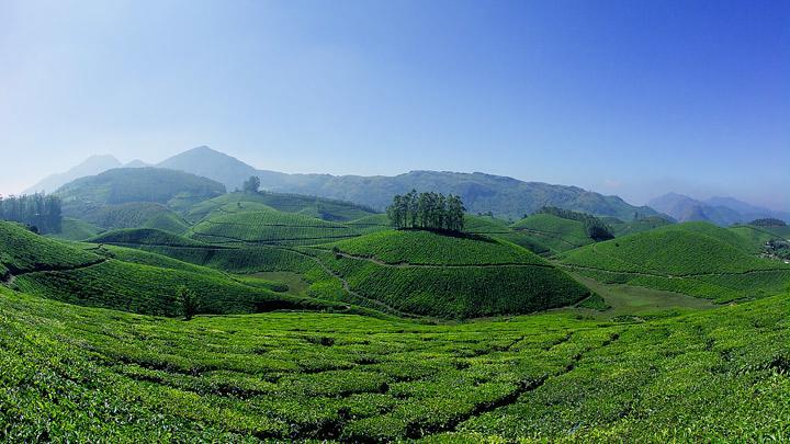 Athens Cottage Munnar Exterior foto