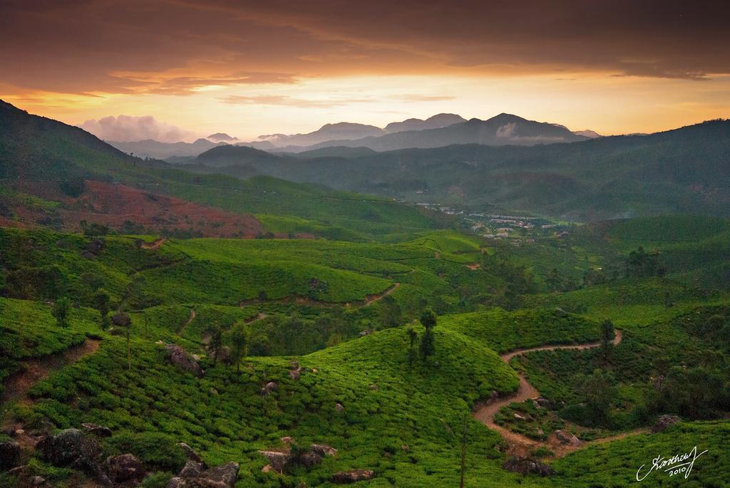 Athens Cottage Munnar Exterior foto